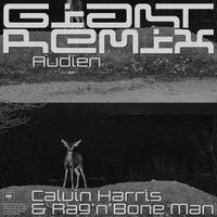 Calvin Harris & Rag’n’Bone Man - Giant (Audien Extended Remix)