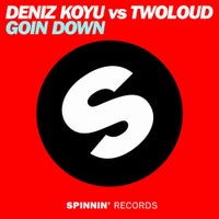 Deniz Koyu & twoloud - Goin Down (Original Mix)