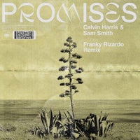 Calvin Harris & Sam Smith - Promises (Franky Rizardo Extended Remix)