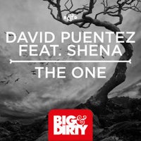 David Puentez - The One feat. Shena (Original Mix)