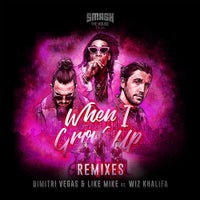 Wiz Khalifa - When I Grow Up (Dimitri Vegas & Like Mike Vs HIDDN Remix)