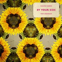 Calvin Harris & Tom Grennan - By Your Side (Original Mix)