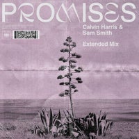 Calvin Harris & Sam Smith - Promises (Extended Mix)