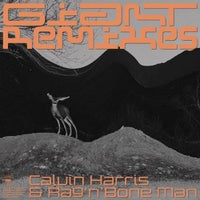 Calvin Harris & Rag’n’Bone Man - Giant (Weiss Extended Remix)