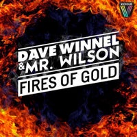 Dave Winnel & Mr Wilson - Fires Of Gold (Original Mix)