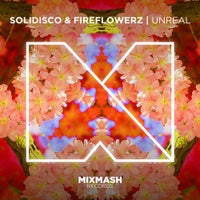 Fireflowerz & Solidisco - Unreal (Original Mix)