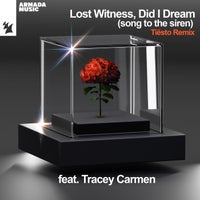 Lost Witness - Did I Dream (Song To The Siren) feat. Tracey Carmen (Tiësto Remix)