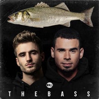 Afrojack & Chico Rose - The Bass (Extended Mix)