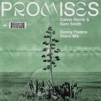 Calvin Harris & Sam Smith - Promises (Sonny Fodera Extended Disco Mix)