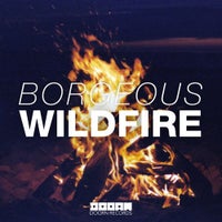 Borgeous - Wildfire (Original Mix)