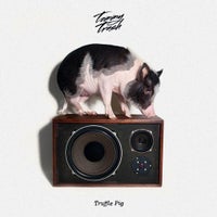 Tommy Trash - Truffle Pig (Original Mix)