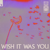 Audien - Wish It Was You (Extended Mix)