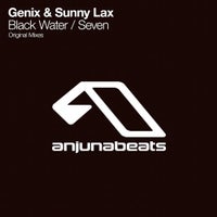 Genix & Sunny Lax - Black Water (Original Mix)